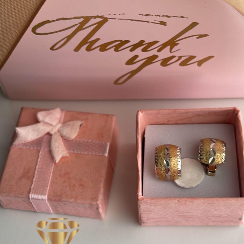 Aretes 3.2gr